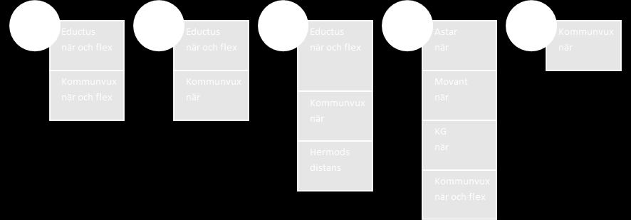 Kommunal vuxenutbildning består av Svenska för invandrare (Sfi), grundläggande och gymnasial nivå samt Särskild utbildning för vuxna.