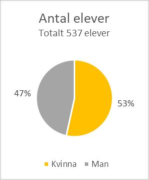 4.2 Kommunvux närstudier Elever Under året hade verksamheten totalt 537 unika elever. Antalet kursdeltagare var 1941.