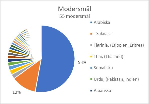 95% av eleverna är födda utrikes och 5% av eleverna saknar registrerad födelseort i elevregistreringsprogrammet IST Extens.