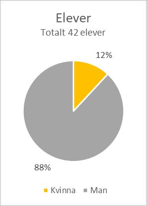 6.4 Movant Elever På Movant kan elever läsa praktiska, tekniska och individuellt utformade yrkespaket.
