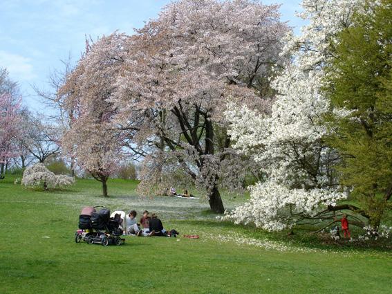 vium Partnerskap att arrangera en första nätverksträff inom Park-gata-torg under eftermiddagen onsdagen den 24 augusti i Lund, dvs. dagen innan FSS-kongressen startar.