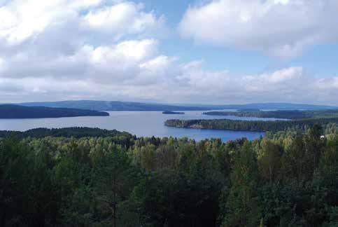 Om beställarrollen Själva begreppet beställare är ganska vagt när det gäller offentlig upphandling.