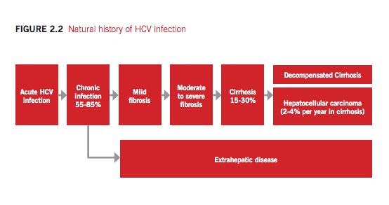 Naturalförlopp av hepatit C virus (HCV)