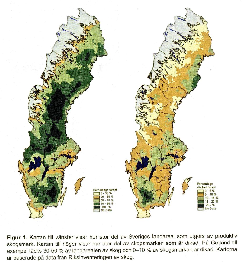 Figur #. Den vänstra kartan visar hur stor del av området som utgörs av produktiv skogsmark. Den högra kartan visar hur stor del av skogsmarken som är dikad.