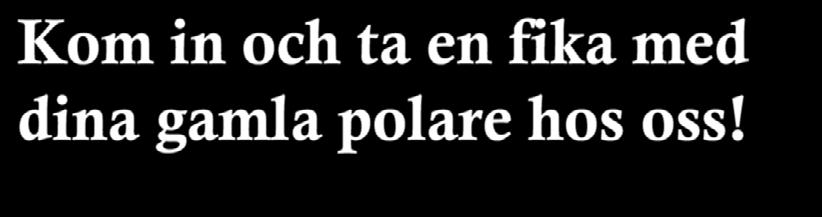 Detta är en aktivitet där publiken deltar aktivt.
