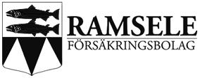 ALLT INOM PLÅTSLAGERI o. VENTILATION! Backe Begravningsbyrå AB RAMSELE-EDSELE FÖRSAMLING Onsdag 3 juli (ikväll); Kl 19.