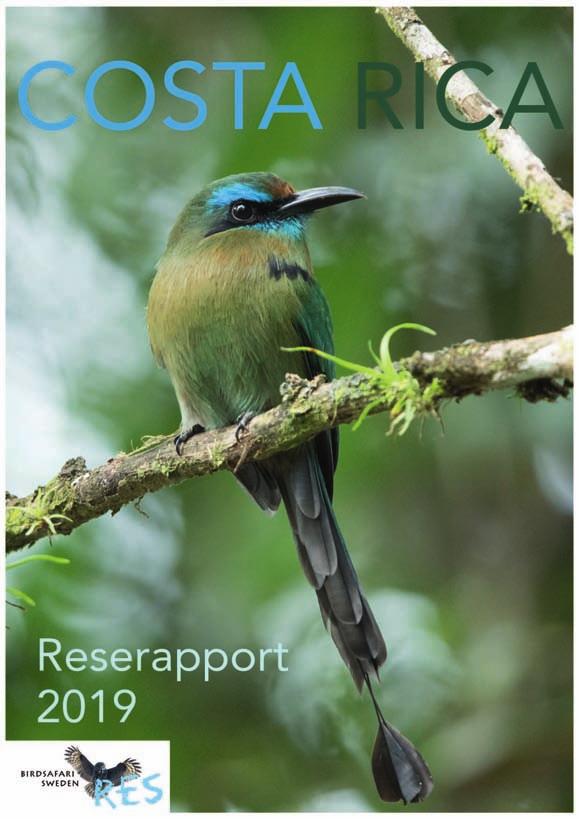 Costa Rica 2019 Birdsafarisweden - Res / www.