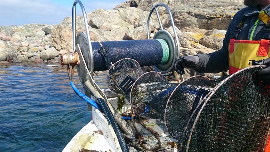 Aqua reports 219:1 Test av selektiva redskap för