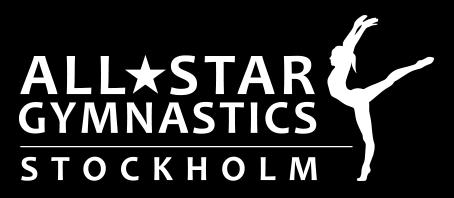 Verksamhetsberättelse 2017 för