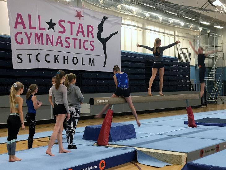Kid Stars, barn 3-6 år Under våren hade vi 6 grupper och under hösten 3 grupper Kid Stars igång med både flickor och pojkar. De flesta enligt konceptet Bamsegympa.