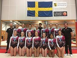 8 Tävlingsresultat Det har varit ett framgångsrikt år för våra tävlingsgymnaster från steg 1 och uppåt. Många fina prestationer på tävlingsgolvet och bra placeringar.