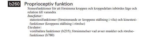 En främre korsbandsskada påverkar inte bara proprioceptionen utan kan även bidra till smärta och instabilitet av knäleden som inte bara inverkar på kroppsstrukturen utan även aktivitet och