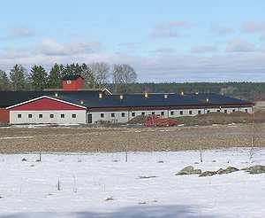 Strömningsförluster i anläggningen Förluster vid fläkthjulet Förluster i elmotorn Förluster i styrelektronik Stallklimat och väder Tilläggsvärme Energiförbrukning för vent med olika uteklimat 7