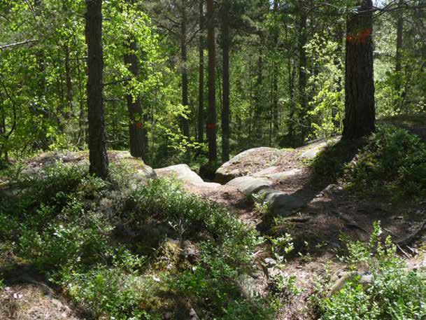 STADSBYGGNADSFÖRVALTNINGEN, KARLSTADS KOMMUN MILJÖKONSEKVENSBESKRIVNING