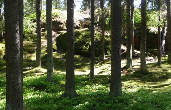 välanvänd skolskog.