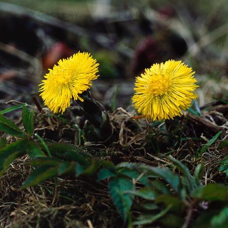 Veckobrev nr 15 (8 april - 14 april) 2019 Information Från och med nästa veckobrev, kommer vi att skicka ut det via vårt medlemsregister Miriam.