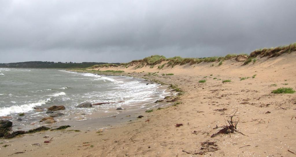 Figur 12. Sandstrand vid Vesslunda naturreservat. Stranden kantas av dyner med aktiv erosion. Foto: Kärstin Malmberg Persson.