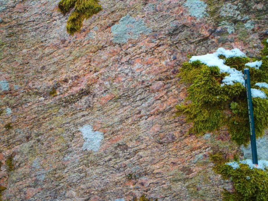 Detaljplan Fjällb Park Bergteknisk utredning, radnundersökning 3 (18) Figur 2. Förekmmande bergart: gråröd ögnförande gnejs.