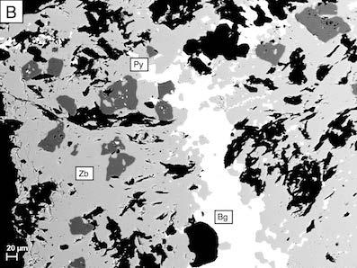 Skala,100µm.