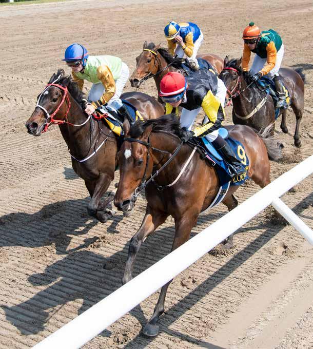 DERBYBANAN JÄGERSRO NR 8 ONSDAG 19 JUNI 019