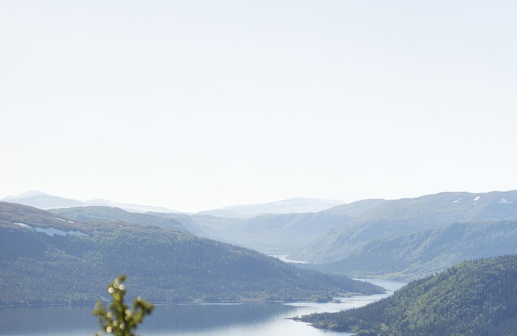 SPILTAN FONDER 13 Aktivt och ansvarsfullt ägande Att spara i fonder har många fördelar. Du kan med relativt små sparbelopp få väldigt stor spridning både geografiskt och mellan branscher.