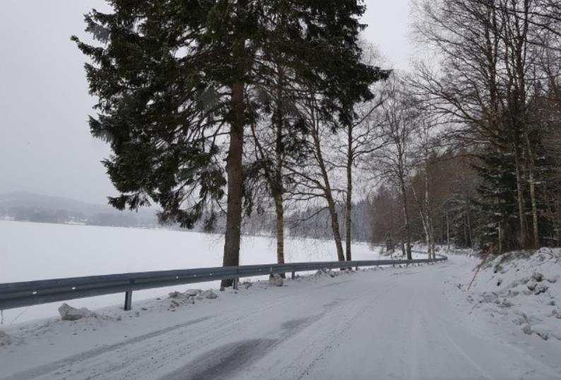 Figur 15 Utsikt österut från mötesplats öster om Sundet. Svanviksvägen Pojkebovägen Längs Svanviksvägen finns ett mindre antal mötesplatser utspridda vars bredd inte överstiger 5 meter.