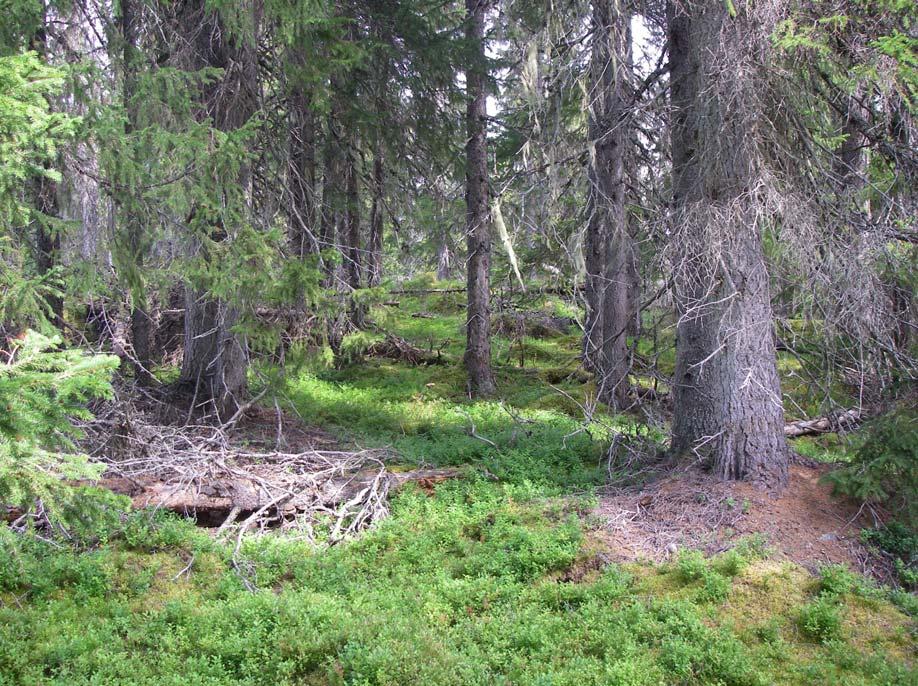 Krokom, 3 7 km norr om Rönnöfors Kartor: Fastighetskartan 20E 2-3a, Rönnöfors Vägkartan 203 Föllinge Areal: 581 ha varav 508 ha produktiv skogsmark Förvaltare: Länsstyrelsen