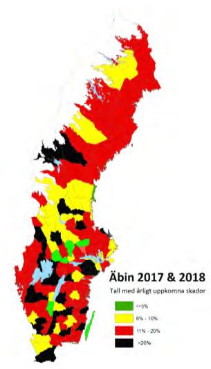 Tveksamheter finns även om vad som egentligen ingår i den stora frömängd som insamlades i samband med den stora kottkampanjen i området det fina fröåret 1988.