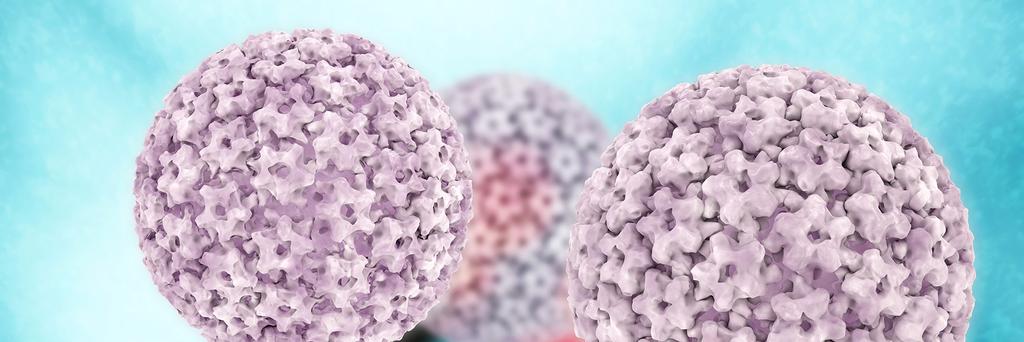 HPV Infekterar hud och slemhinnor ~ 200 typer 40 typer