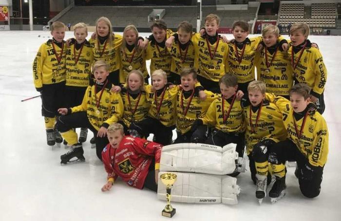 Vetlanda BK-U13 vann Aros Byggcup Bakre raden från vänster: Emil Karlsson, Jack Tiger, Emilia Göransson, Klara Sandberg, Lowe Bardh, Lukas Corin, Kevin Degerstedt, Lucas Ekvall, Emilio Stålhammar,