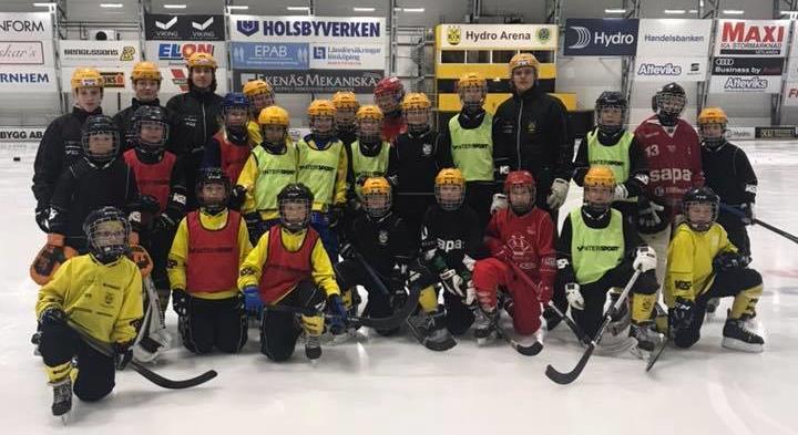 Talangfabrikens Bandyskola Vetlanda BK har på skolornas höst- och sportlov arrangerat Talangfabrikens Bandyskola i