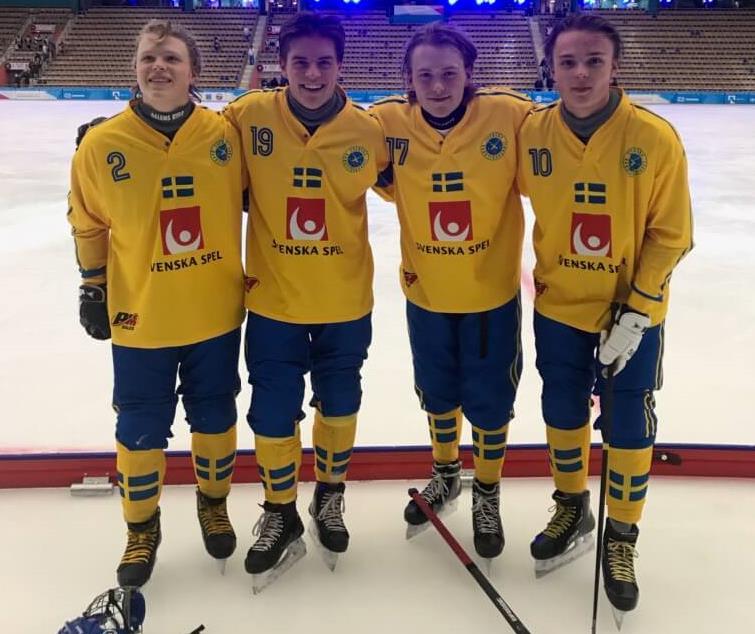 Linus Toresson, Albin Rehnholm, Gustav Wallin och Jonathan Svensson spelade i P19-landslaget. Sveriges P17-landslag Matcher Mål Olof Götselius... 6 Linus Sandqvist... 6 2 Emil Nordström.