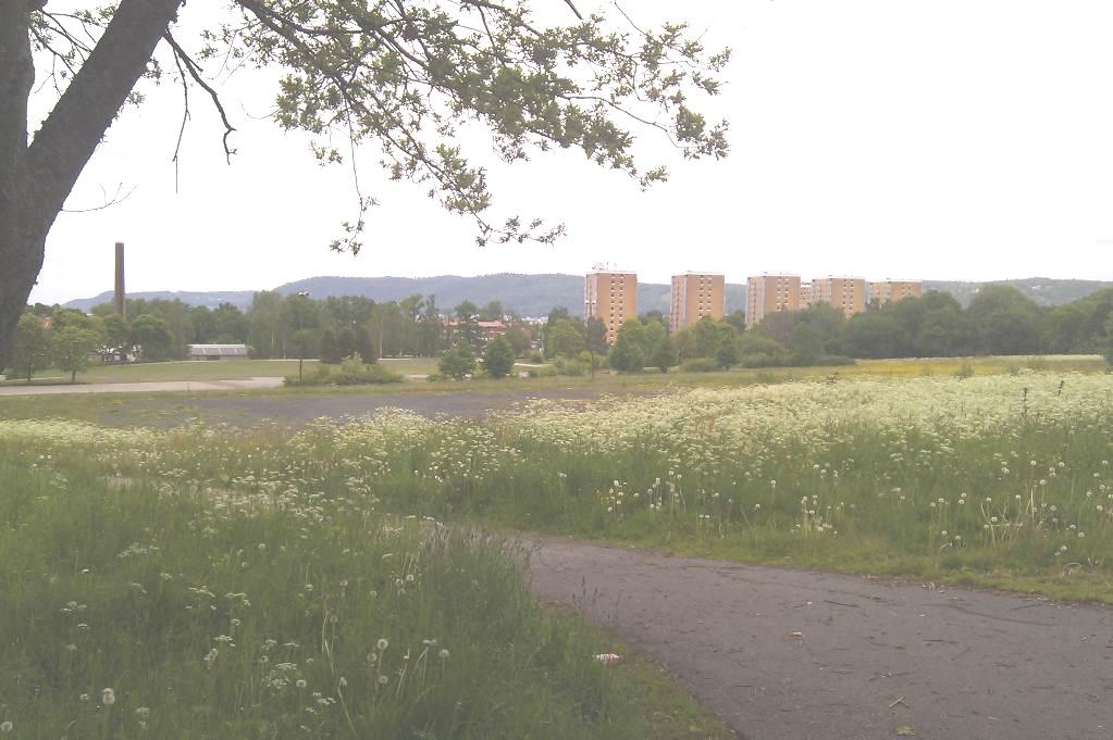 FÖRUTSÄTTNINGAR OCH FÖRÄNDRINGAR NATUR OCH KULTUR Mark och vegetation Kungsängen gränsar i söder, öster och väster till Bondbergets naturreservat som också är Natura 2000-område.