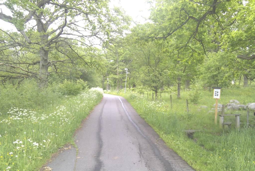 Gång- och cykelväg mot stadsdelen Öxnehaga genom naturreservatet Vy mot sydväst BEFINTLIG BEBYGGELSE Kungsängsskolan är riven inklusive idrottshall.