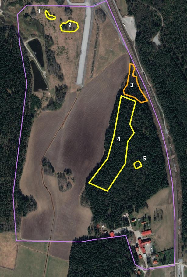 3 INVENTERINGSOMRÅDET Inventeringen gjordes i ett upp till 1 kilometer långt och cirka 600 meter brett område i Brista (Figur 1). Tomtmark i sydöst inventerades inte. Figur 1.