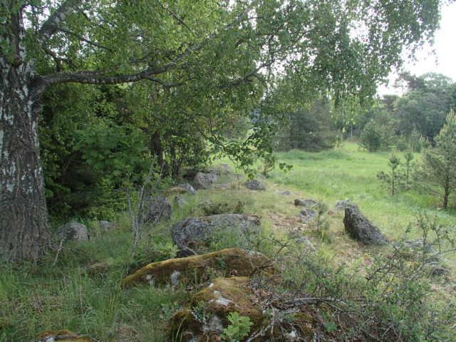 4 RESULTAT AV INVENTERINGEN Fem delområden med naturvärden avgränsades inom inventeringsområdet, dessa redovisas nedan.