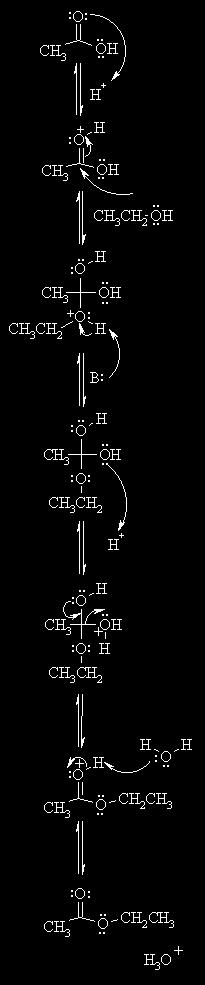 Sammanfattning av esterreaktionen 1. Karboxylsyran binder en proton genom en nukleofil apack som ubörs av syreatomen (protonen kommer från katalysatorn som utgörs av en stark syra, t.ex. svavelsyra).