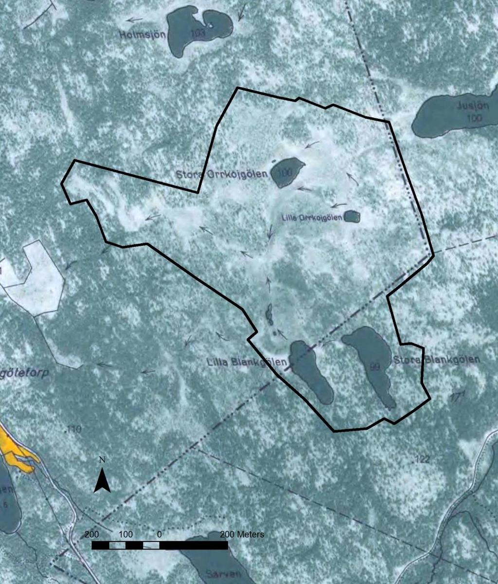 exempel Stora och Lilla Orrkojgölen som området uppkallats efter samt Stora och Lilla Blankgölen. De senare med mycket klart vatten.