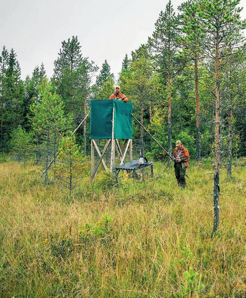 Skog och jakt Sedan människan tog sitt första steg på jorden har jakt varit en naturlig del av livet. Jakten erbjuder många glädjeämnen och naturupplevelser.