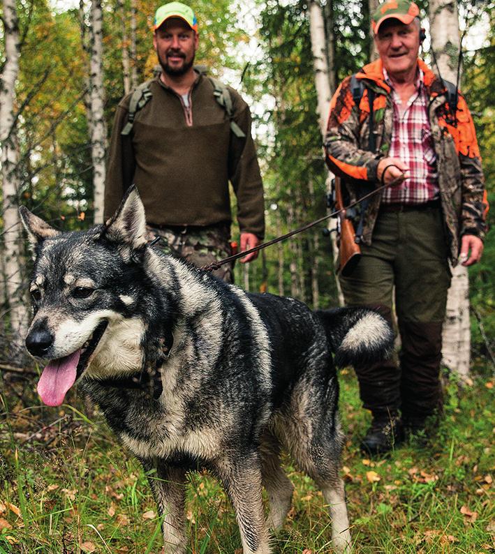 Samverkan För att nå de uppsatta målen för skog och klövvilt är samverkan viktig.holmen samverkar med andra markägare, jägare och deras organisationer samt myndigheter.