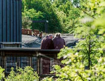 8 1200 Gräs START 15.03 KOMB TRIO VINNARE ÅV // JÄRNLÖPNING För 3-åriga och äldre hästar med handicaptal på anmälningsdagen högst 63, alt som saknar handicaptal. Vikt: 3-åriga 56,5 kg, äldre 59 kg.