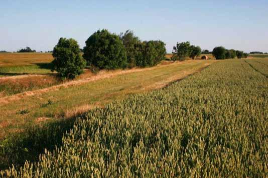 Skyddszon Erosion