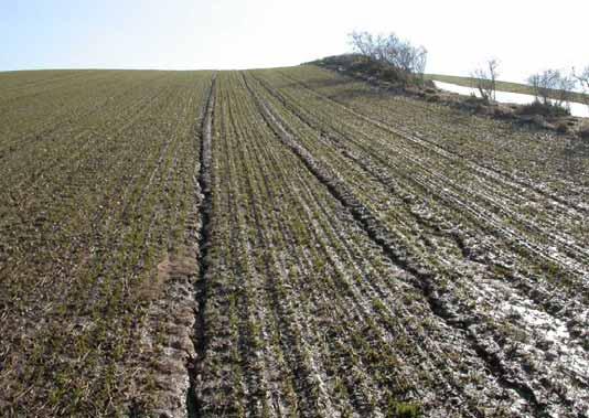 Erosion i anlagda körspår Foto: Örjan Folkesson Det vänstra