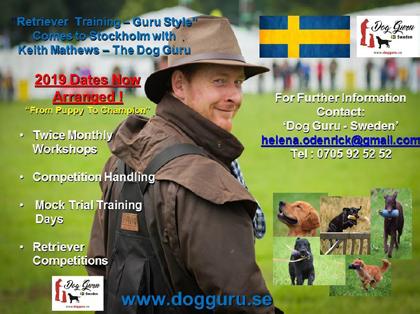 Lagtävling, forts. 46. Team Steen Hilding Lagledare: Veronica Hansson A. Veronica Hansson Carmals Joyride Lab B. Malin Hilding SVjCH Carmals Yale Lab C.