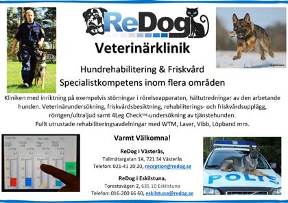 Christer Källros Anniegetyourguns Buffalo Bill Lab C. Marie Andersson Annigetyourgun Little Jake Lab 48. Halmstad Lagledare: Eddie Nilsson A. Eddie Nilsson Reedsweeper s Red Alert Lab B.