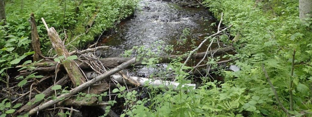 Veden skapar ståndplatser för fisk och skydd och livsmiljöer för andra organismer som till exempel sländlarver och musslor. Förslagsvis tillförs död ved i olika dimensioner på flera ställen i bäcken.