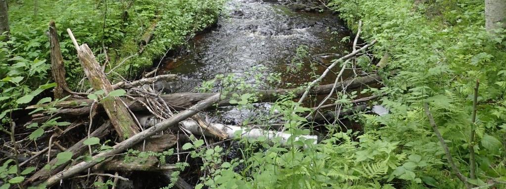 Veden skapar ståndplatser för fisk och skydd och livsmiljöer för andra organismer som till exempel sländlarver och musslor. Förslagsvis tillförs död ved i olika dimensioner på flera ställen i bäcken.