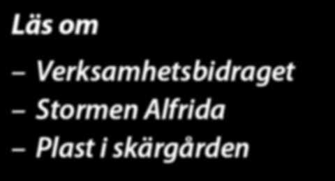 Stormen Alfrida