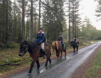 Vi bor på Hasselö i Tjust skärgård, utanför Västervik och Loftahammar. Hur kom det sig att ni hamnade här? Jag är uppvuxen här på Hasselö men flyttade hemifrån när jag började på gymnasiet.