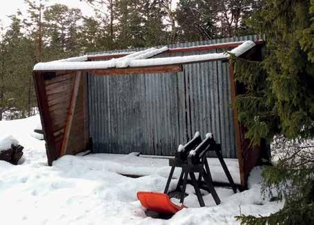 Det fornordiska kvinnonamnet Alfrida kommer ursprungligen från Alfridh och är sammansatt av orden alf och frid (som betyder vacker och skön).